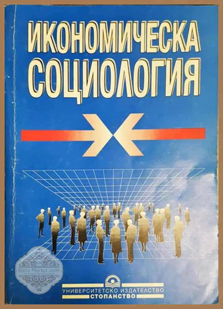 Икономическа социология - Книга