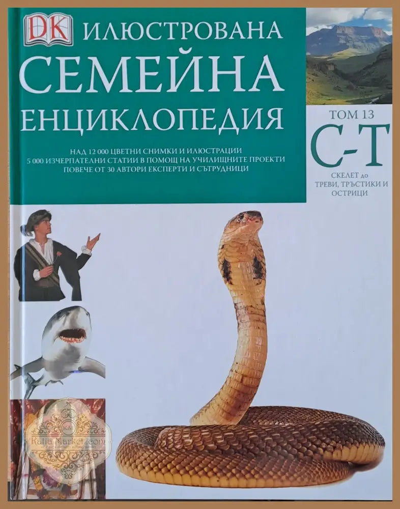 Илюстрована семейна енциклопедия том 13- С-Т: Скелет до треви тръстики и острици - Дорлинг Киндерсли - Книги