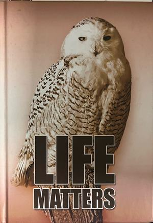 Life Matters – корица