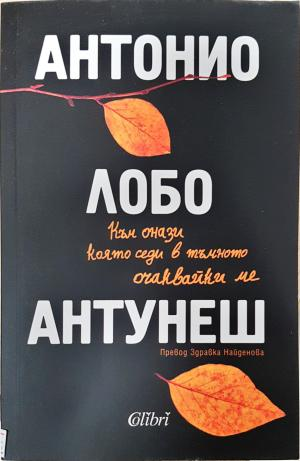 Към онази която седи в тъмното очаквайки ме - Антонио Лобо Антунеш