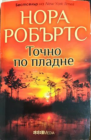 Точно по пладне - Нора Робъртс