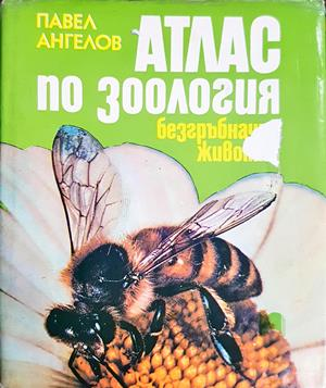 Атлас по зоология: Безгръбначни животни - Павел Ангелов