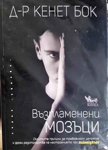 Възпламенени мозъци - Кенет Бок