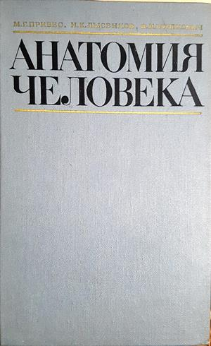 Анатомия человека - М. Г. Привес, Н. К. Лысенков, В. И. Бушкович