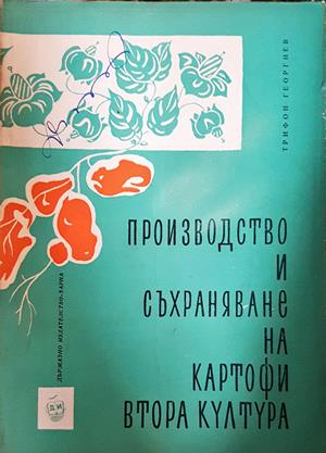 Производство и съхраняване на картофи втора култура