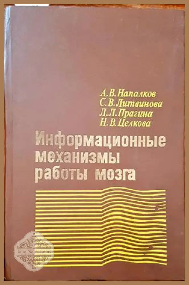 Информационные механизмы работы мозга - Авторски колектив - Книги