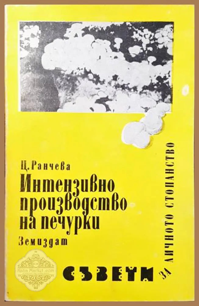 Интензивно производство на печурки - Цветана Ранчева - Книги