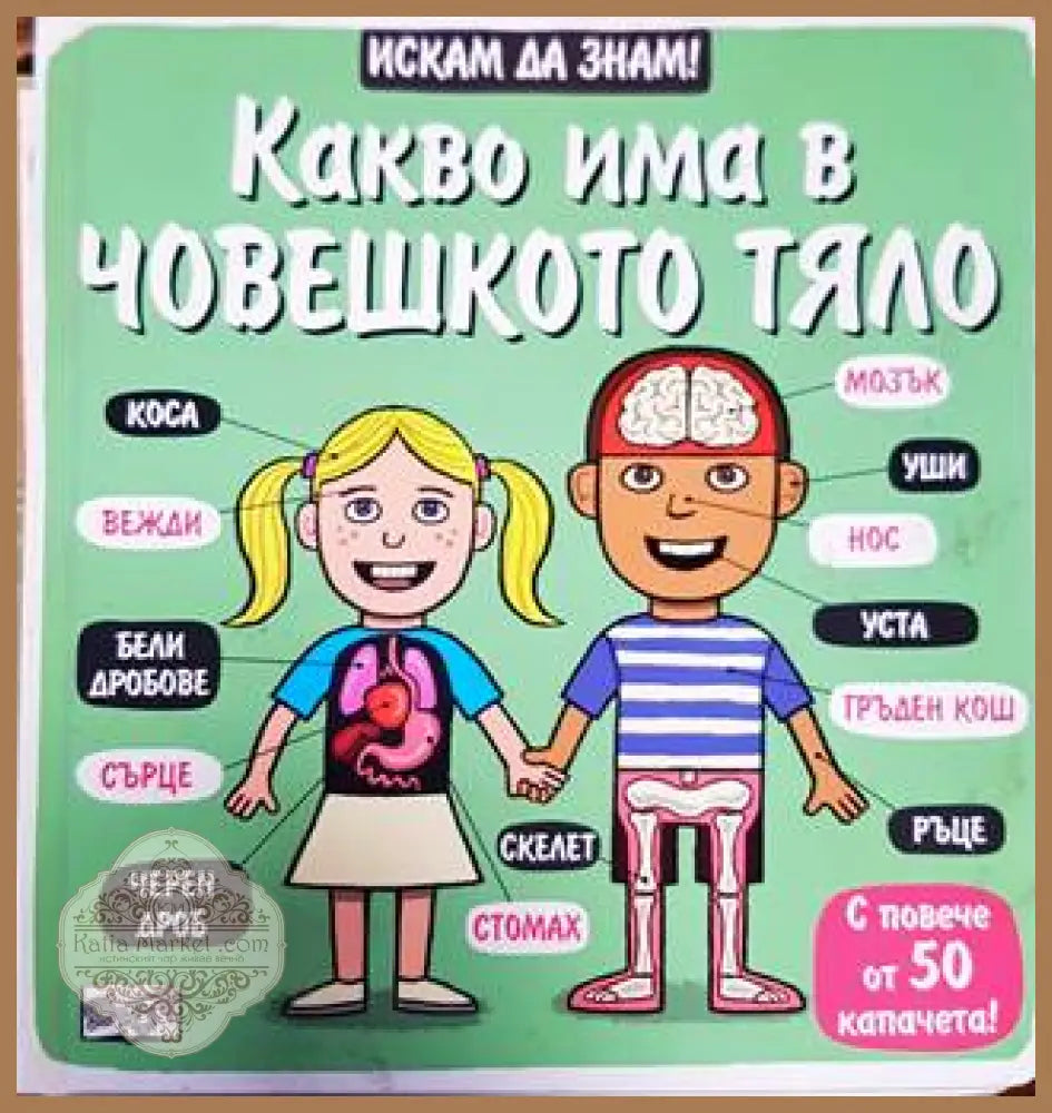 Искам да знам: Човешкото тяло - Книга