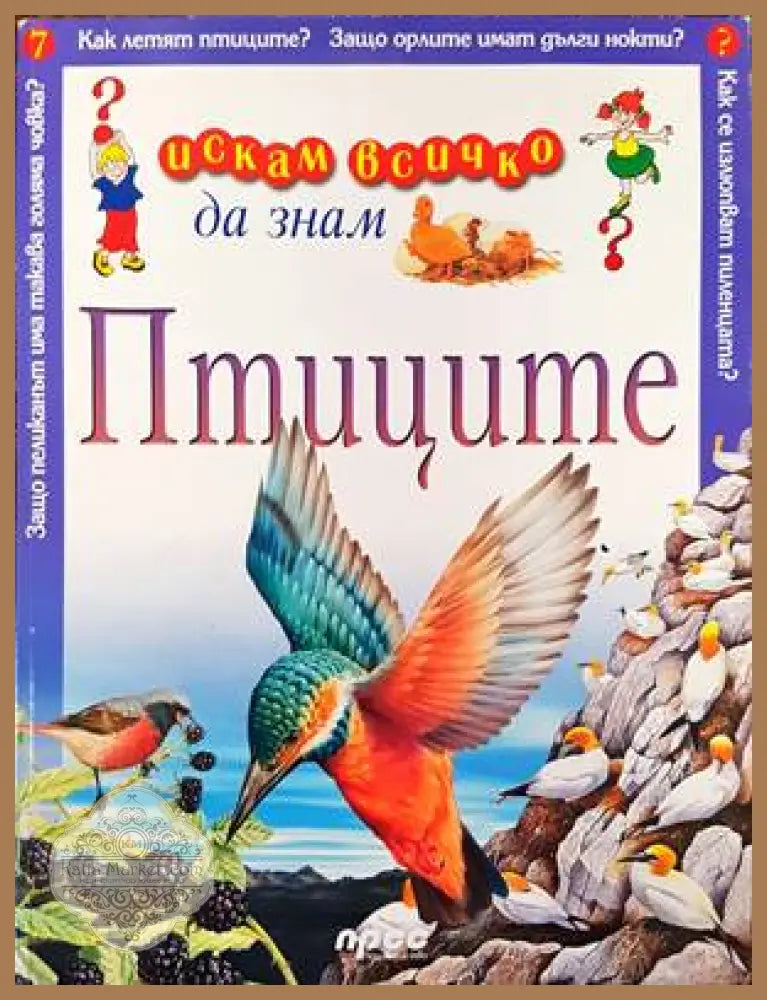 Искам всичко да знам: Птиците - Колектив - Книги
