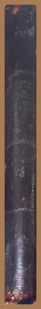 История и цивилизации во Франции (1431) - Книга
