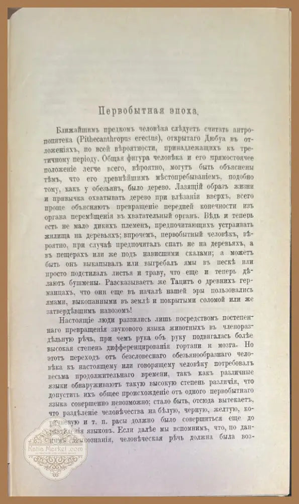 История культуры (274) - Книга