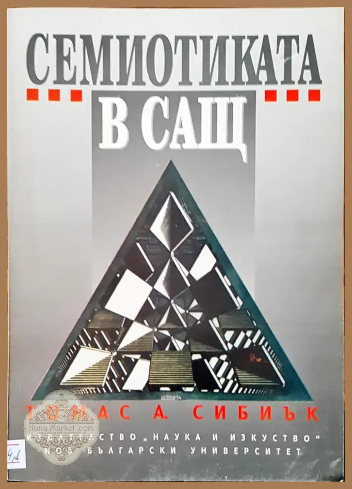 История на българския език (48) - Книга
