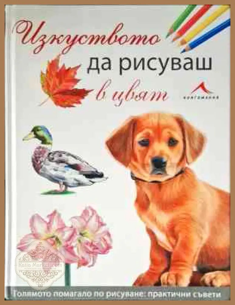 Изкуството да рисуваш в цвят - Колектив - Книги