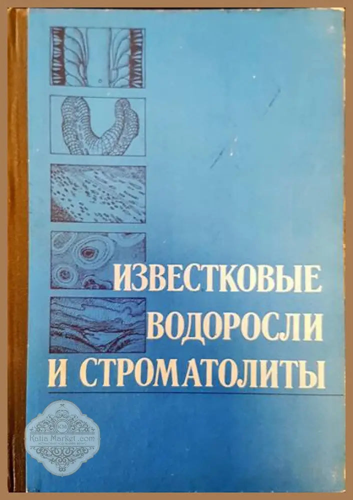 Известковые водоросли и строматолиты - В. Н. Дубатолов - Книги