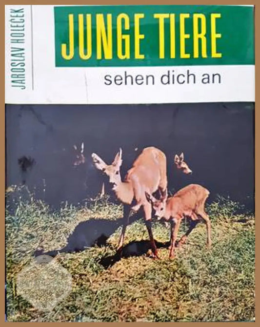 Junge tiere sehen dich an - Jaroslav Holecek - Книги