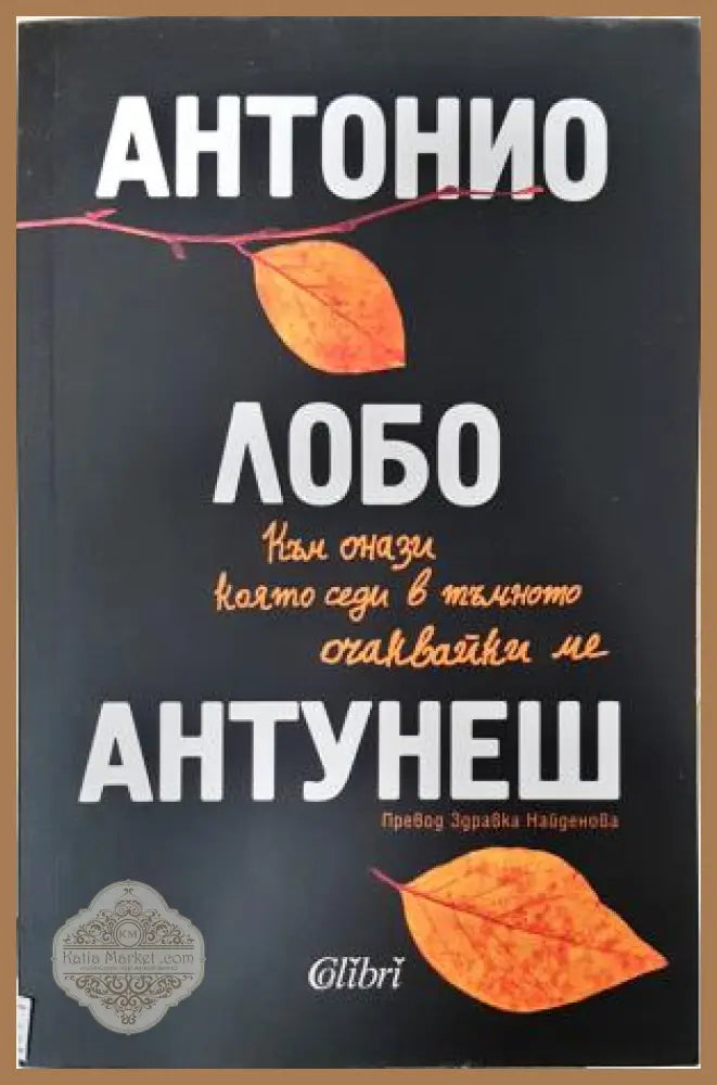 Към онази която седи в тъмното очаквайки ме - Антонио Лобо Антунеш - Книга