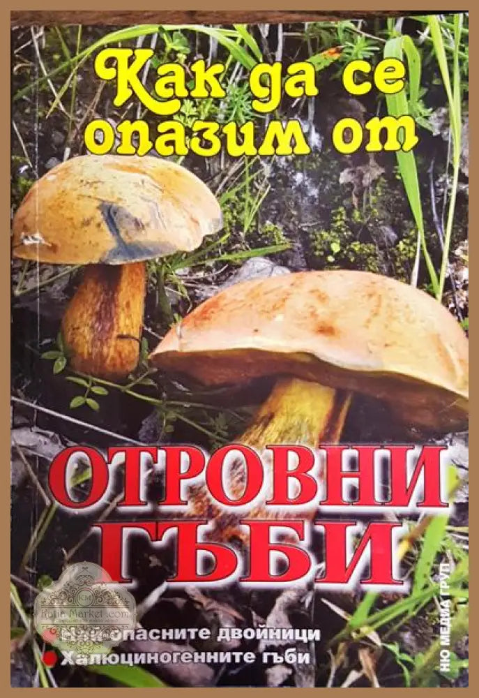 Как да се опазим от отровни гъби - Иван Бакалов - Книги