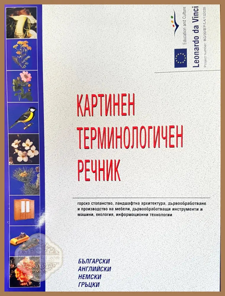 Картинен терминологичен речник - Авторски колектив - Книги