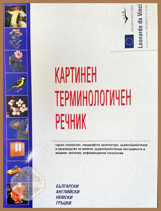 Картинен терминологичен речник - Авторски колектив - Книги