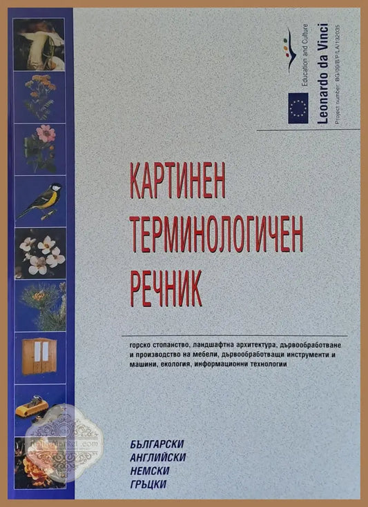 Картинен терминологичен речник: български английски немски гръцки - Авторски колектив Ernst and Young - Книги