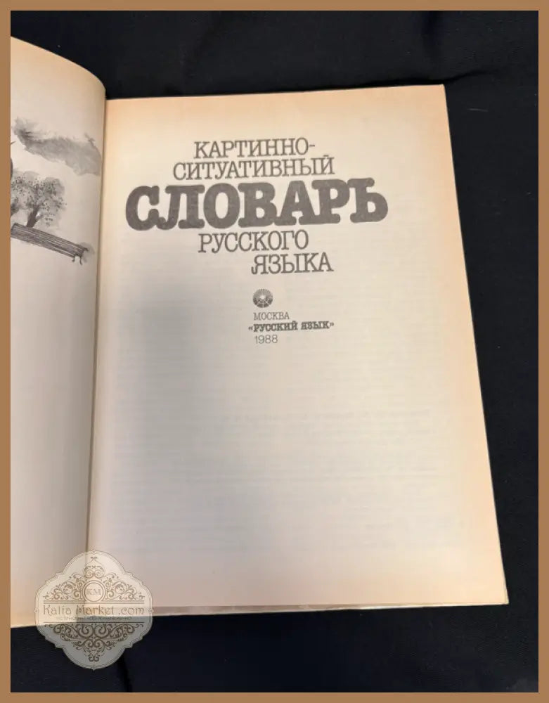 Картинно-ситуативный словарь русского языка - Сборник - Книга
