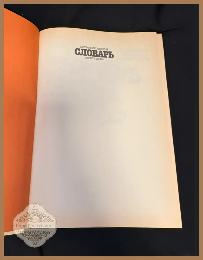 Картинно-ситуативный словарь русского языка - Сборник - Книга