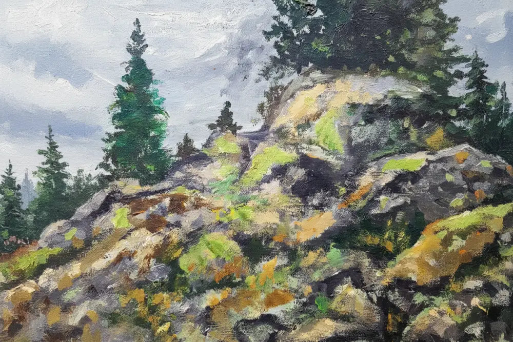 Зимна планина, R. Feix — детайл ели с камъни