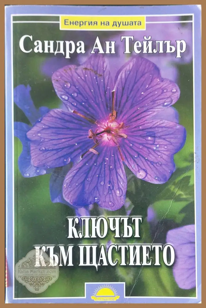 Ключът към щастието - Сандра Ан Тейлър - Книги