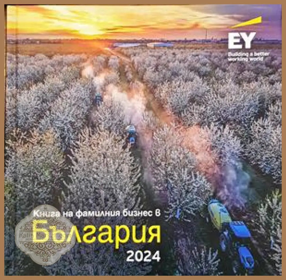 книга на фамилния бизнес в българия - Книги