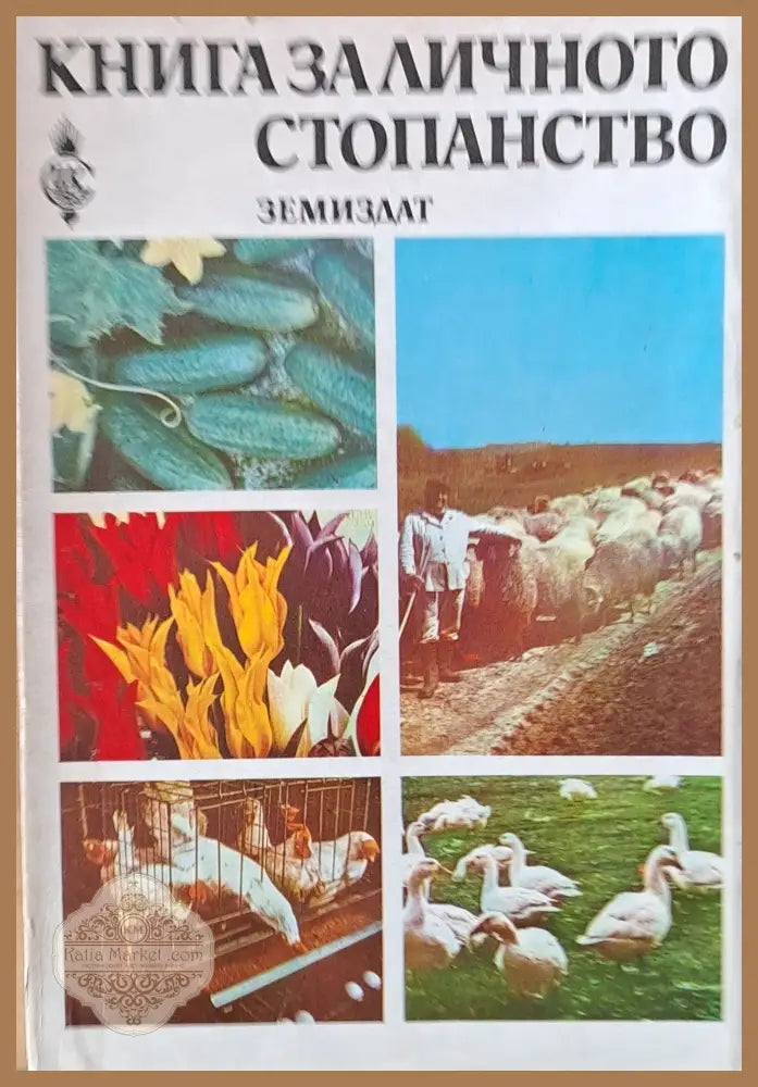 Книга за личното стопанство - Авторски колектив - Книги
