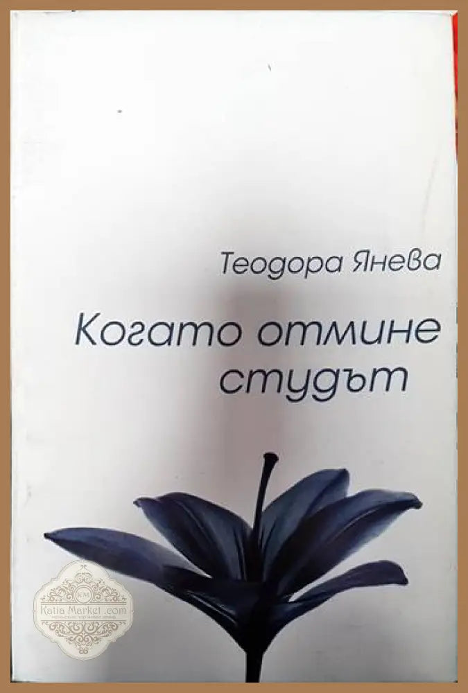 Когато отмине студът - Теодора Янева - Книги