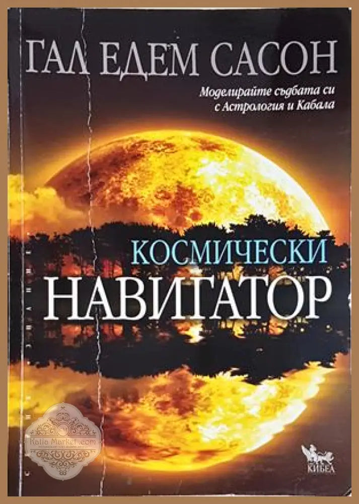 Космически навигатор - Гал Едем Сасон - Книга