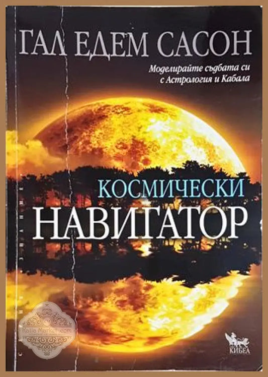 Космически навигатор - Гал Едем Сасон - Книга