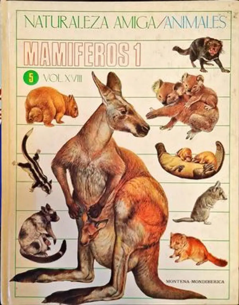 Космосът (14) - Книга