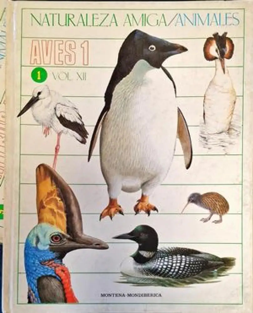 Космосът (14) - Книга