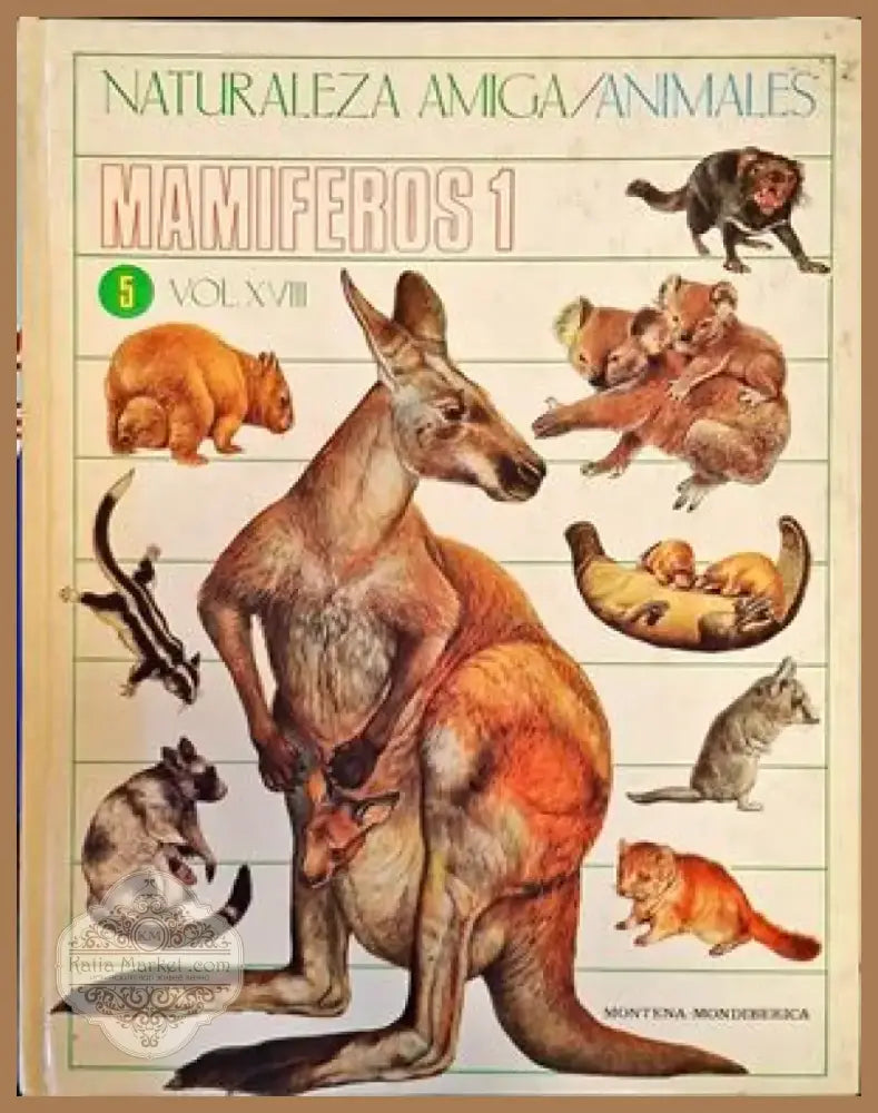 Космосът (14) - Книга