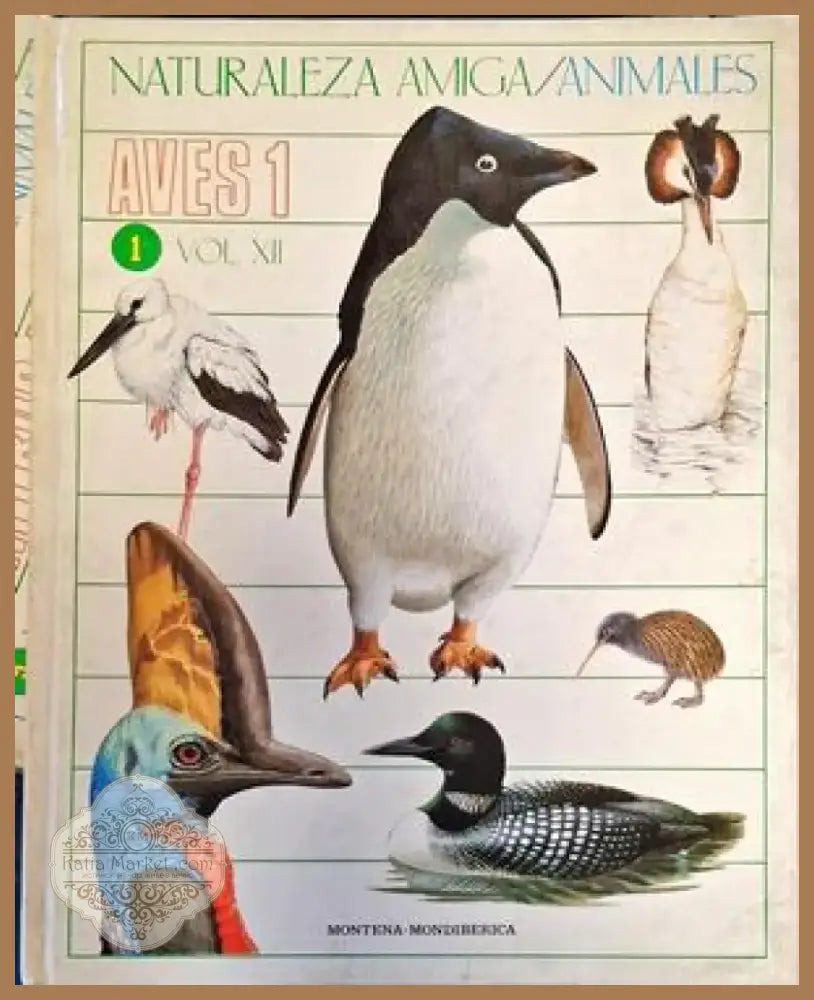 Космосът (14) - Книга