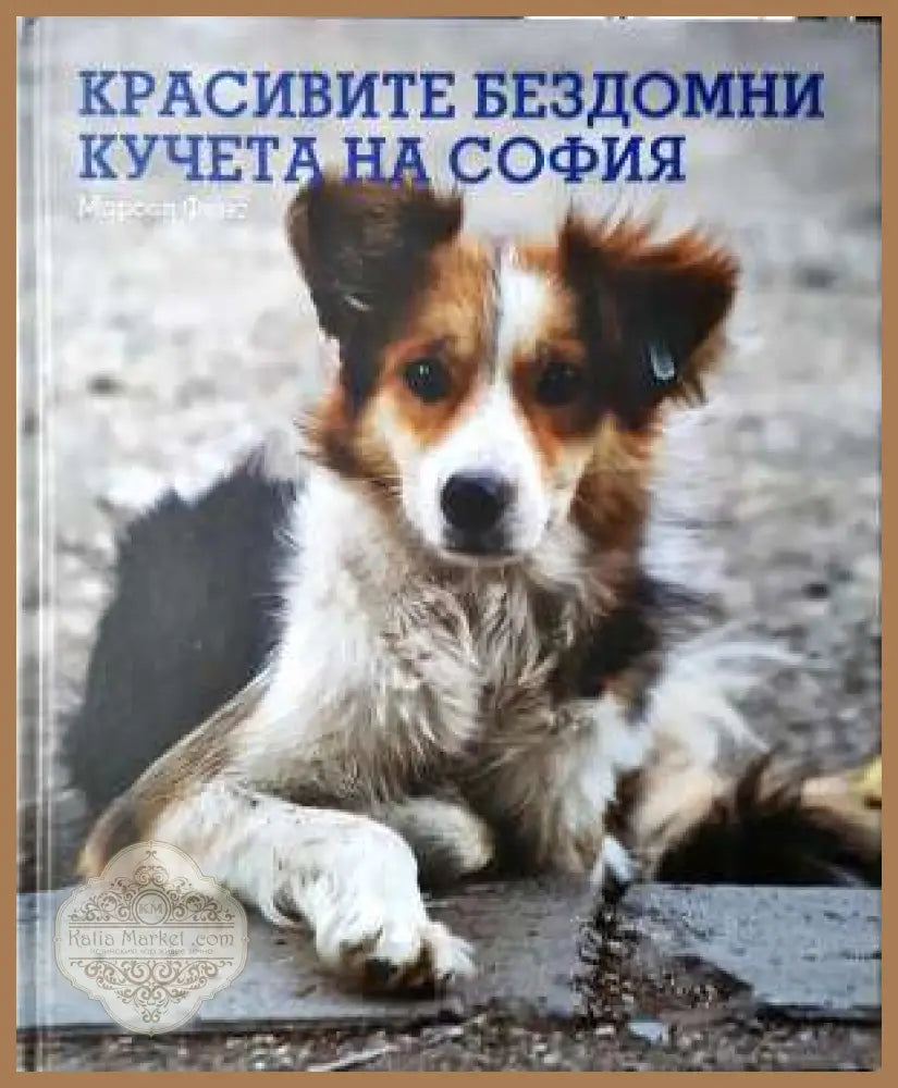 Красивите бездомни кучета на София - Фотоалбум - Марсел Фенс - Книга