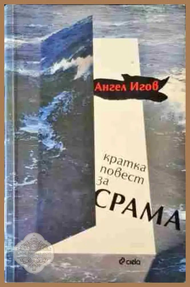 Кратка повест за срама (878) - Книга