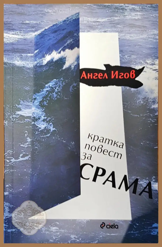 Кратка повест за срама - Ангел Игов - Книги