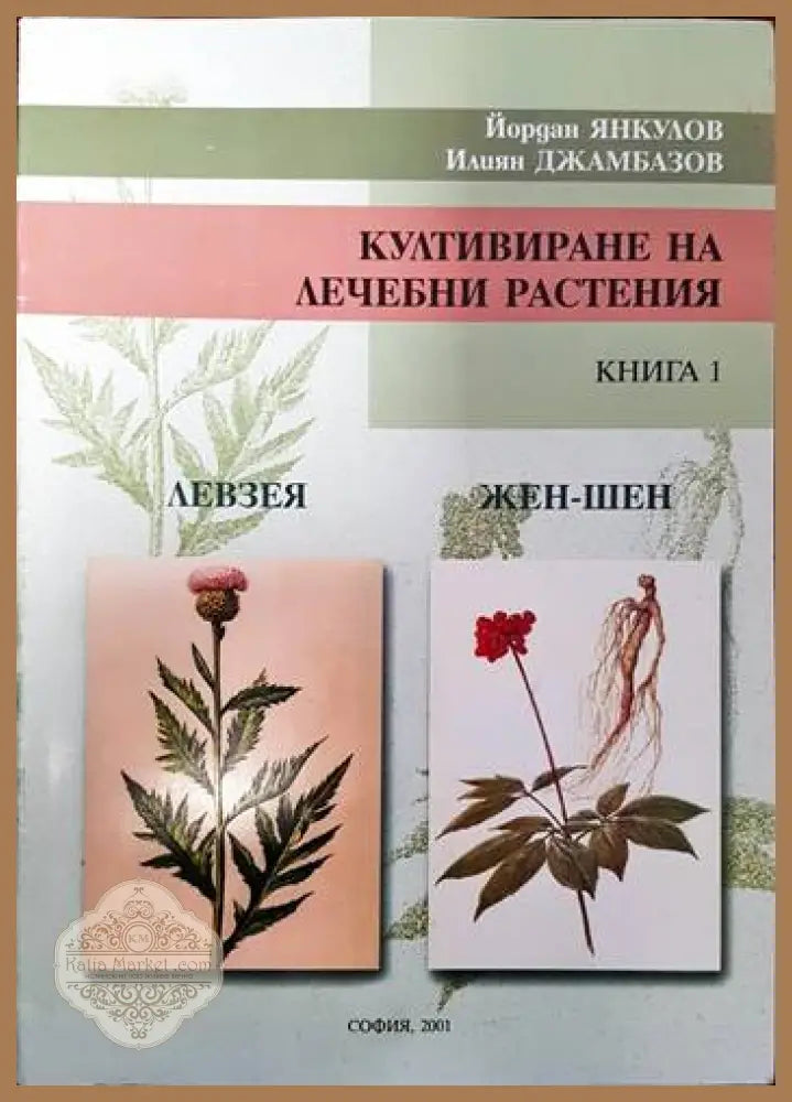 Култивиране на лечебни растения. Книга 1: Левзея жен-шен - Йордан Янкулов Илиян Джамбазов - Книги