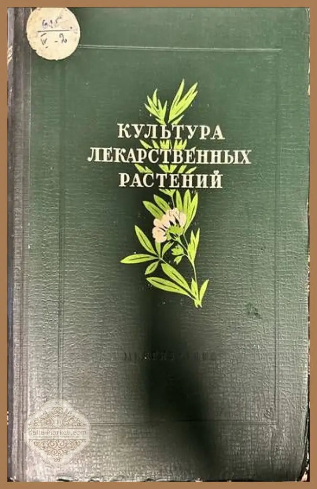 Култура лекарственных растений - П.И. Сараева - Книги