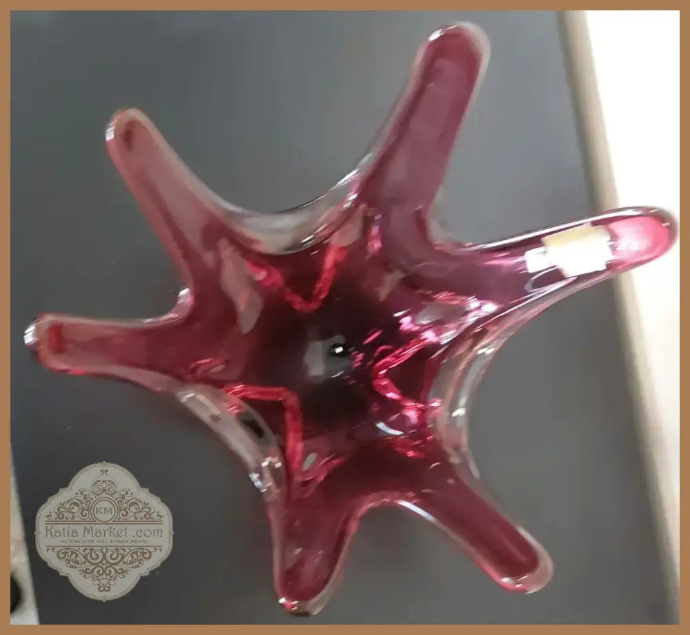 Купа Murano Chambord (1)
