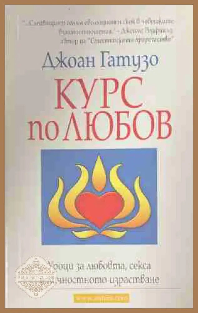 Курс по любов - Джоан Гатузо - Книга