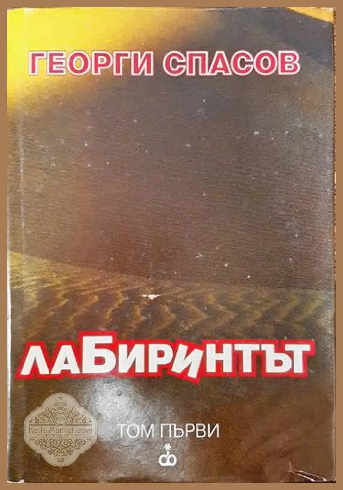 Лабиринтът. Том 1 - Георги Спасов - Книги