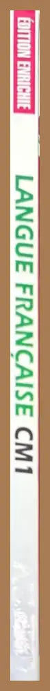 Langue francaise. Cycle 3. CM1 (1003) - Книга