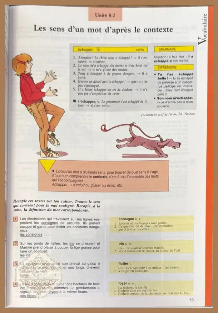 Langue francaise. Cycle 3. CM1 (1003) - Книга