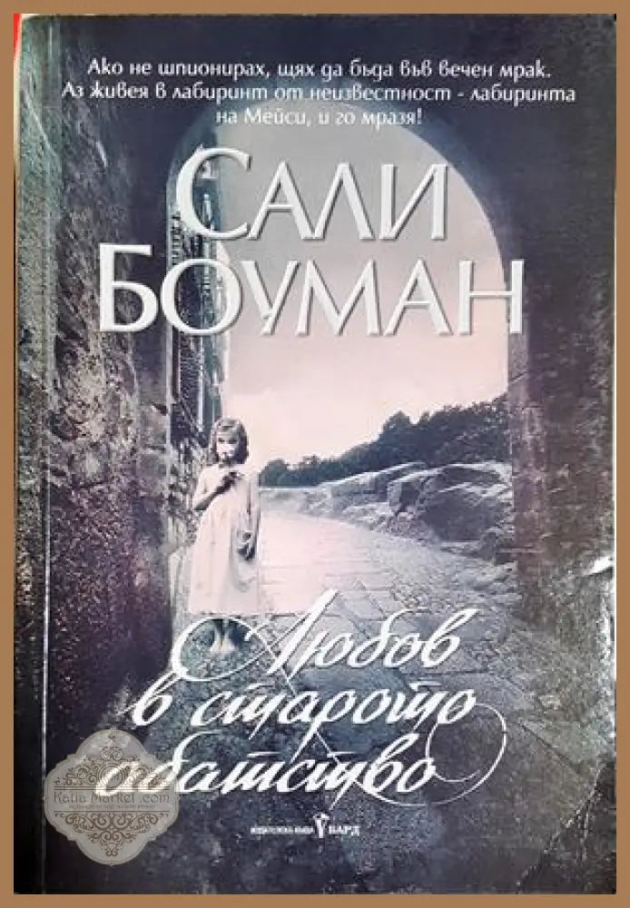 Любов в старото абатство - Сали Боуман - Книга