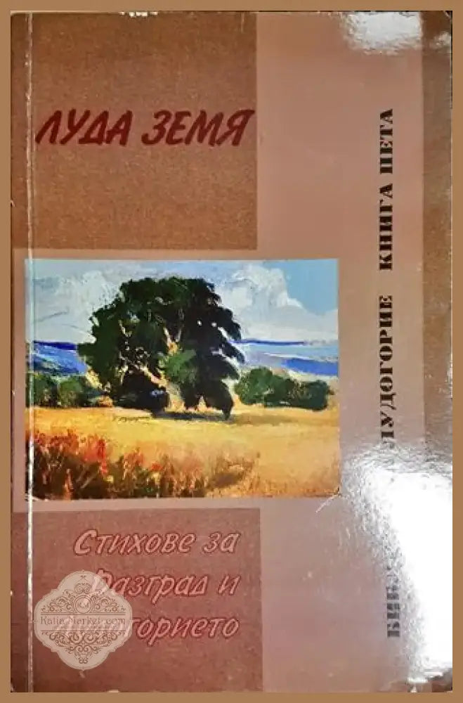 Луда земя – Стихове за Разград и Лудогорието (1161) - Книга