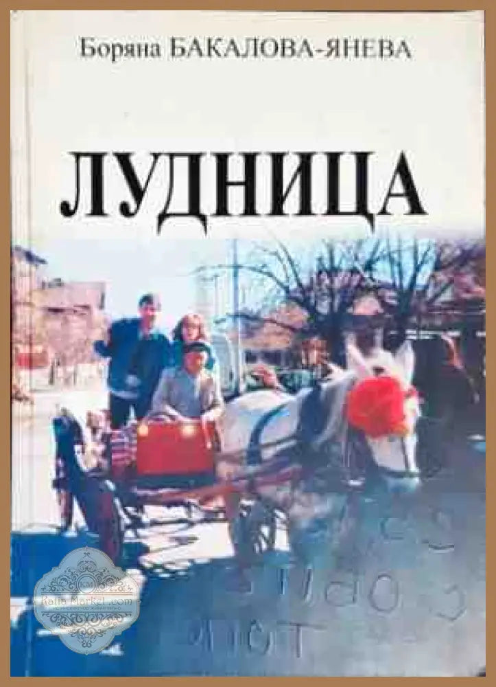 Лудница - Боряна Бакалова-Янева - Книги